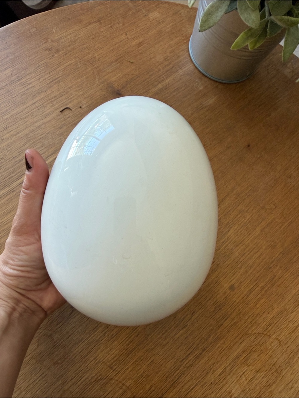 White Rabbit Decorative Accent ceramic egg - Picture 5 of 16